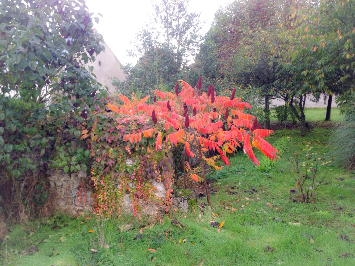 20131026-223320.jpg
