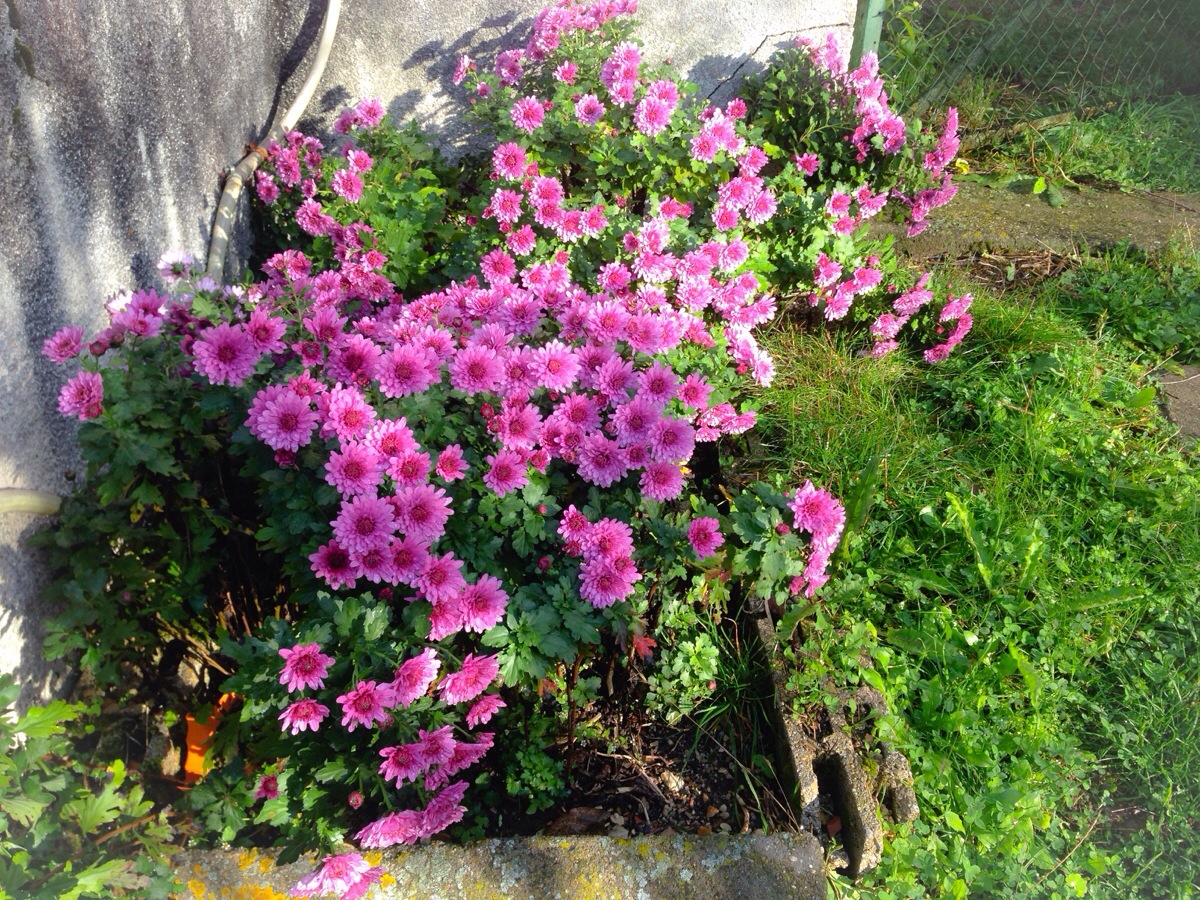 20131026-223343.jpg