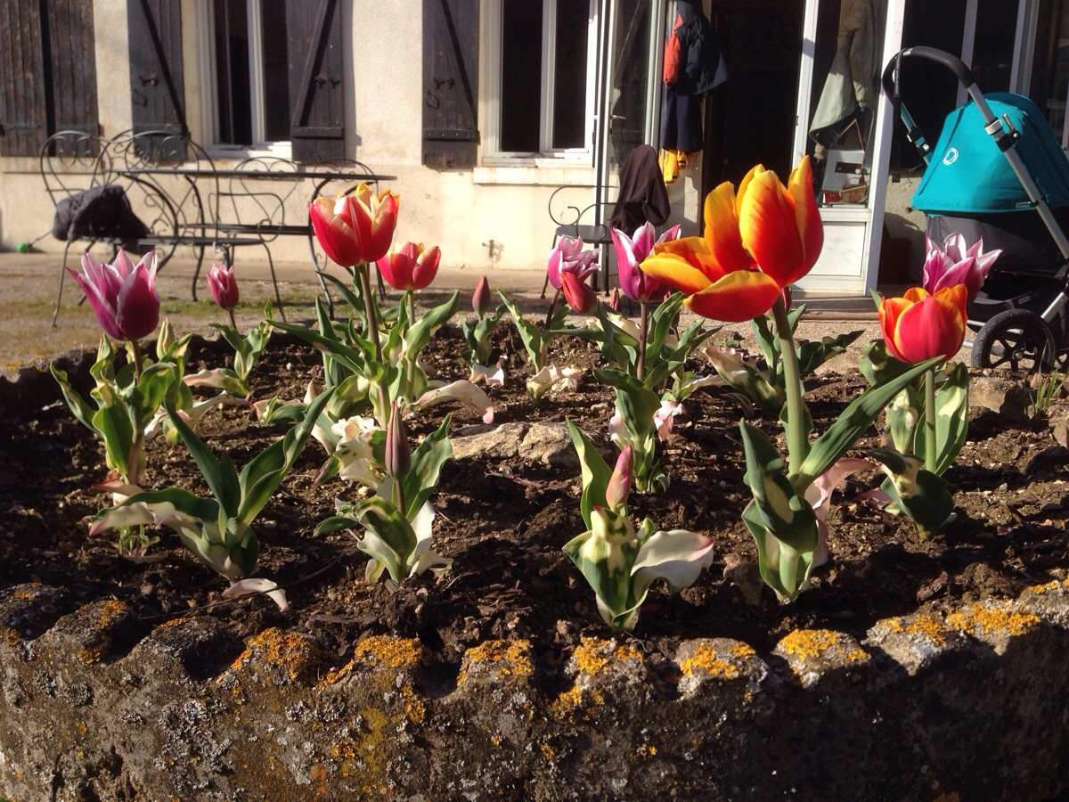 20140405-214444.jpg