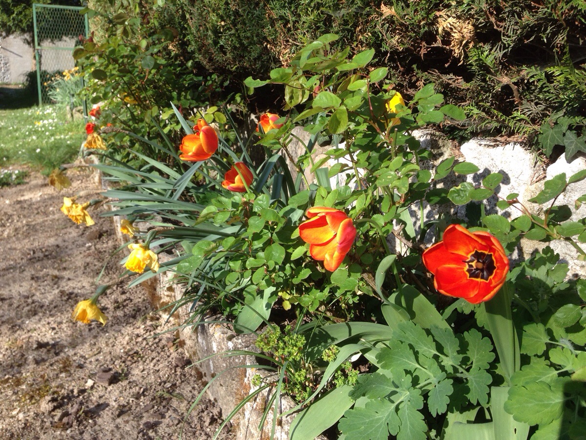 20140405-214453.jpg