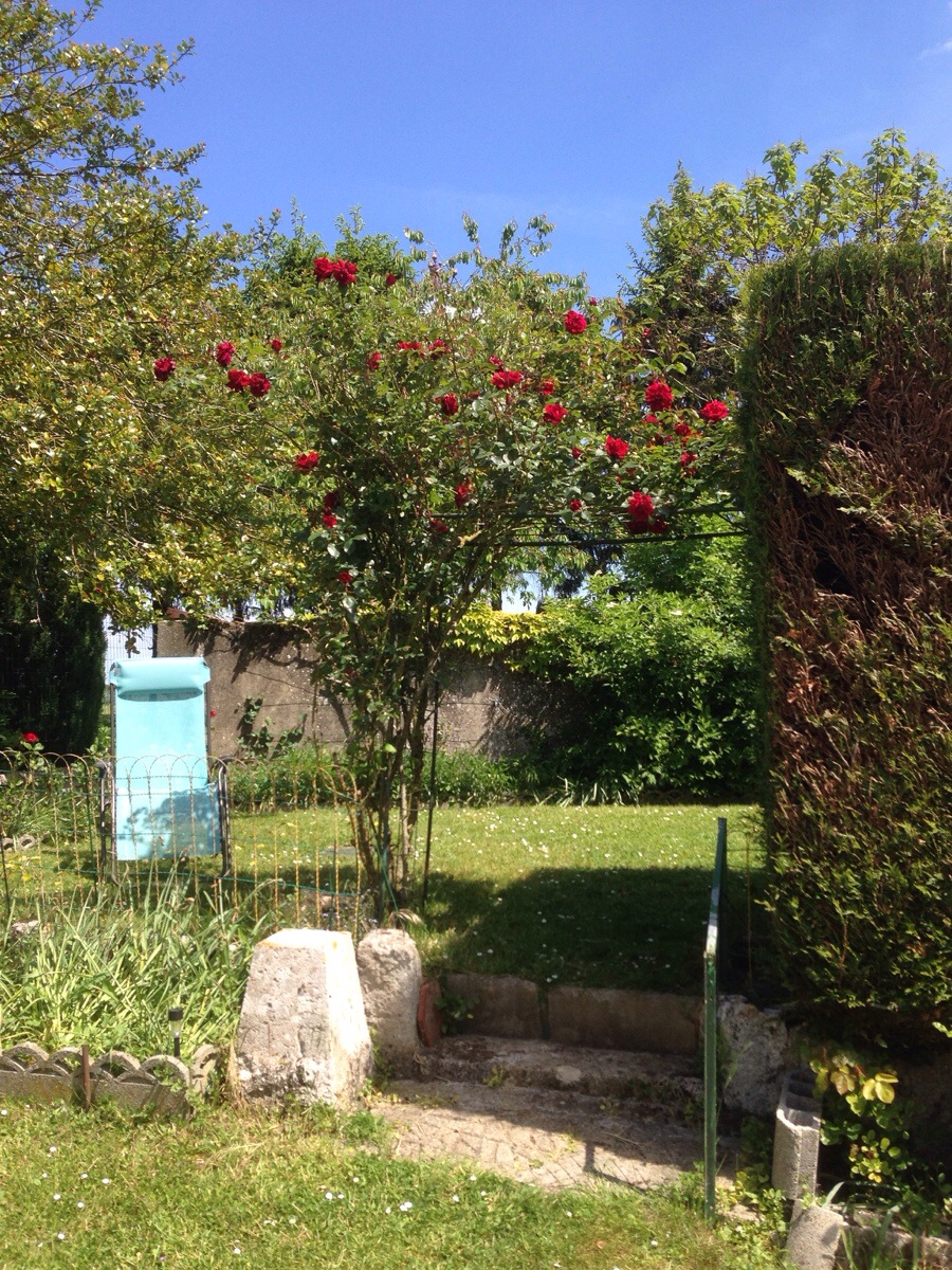 20140518-214933.jpg
