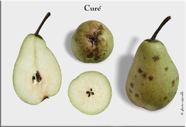 Cure